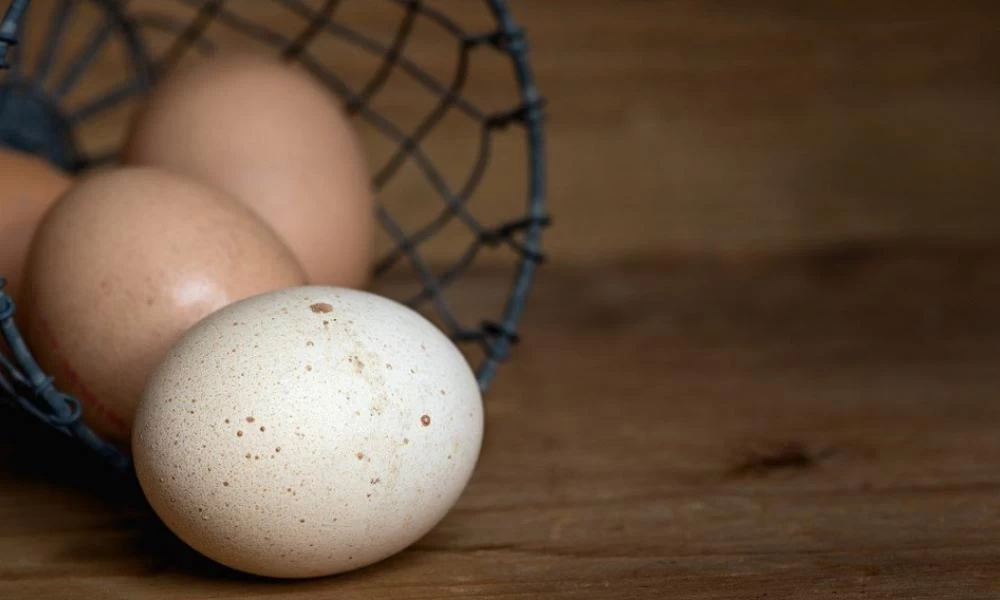Τι διαφορά έχουν μεταξύ τους τα καφέ με τα λευκά αυγά;